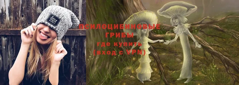 Галлюциногенные грибы Magic Shrooms  как найти закладки  Купино 